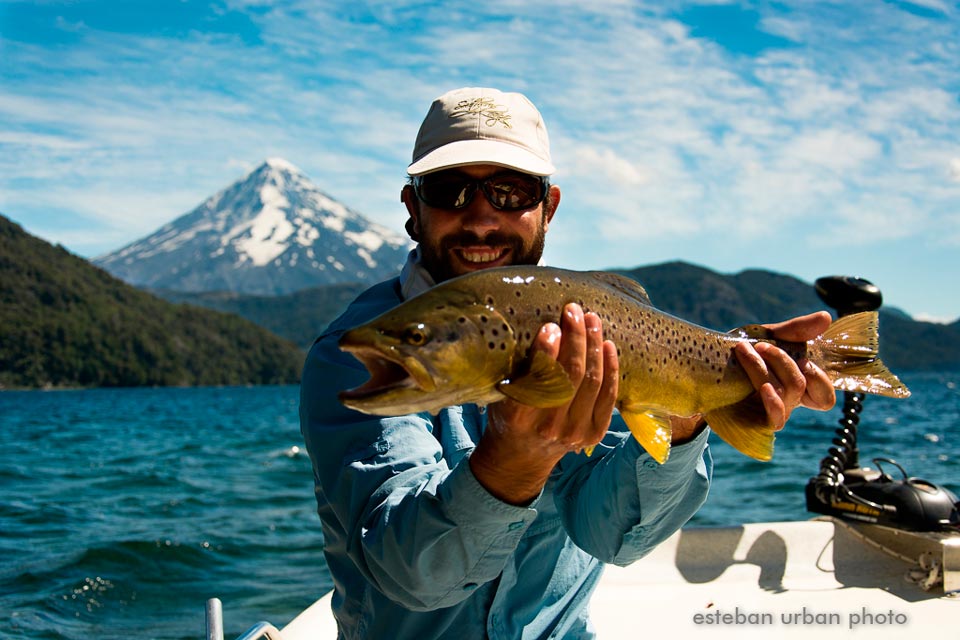 Tromen Lake Brown trout caught on a chubby - Lanin Volcano at the back.